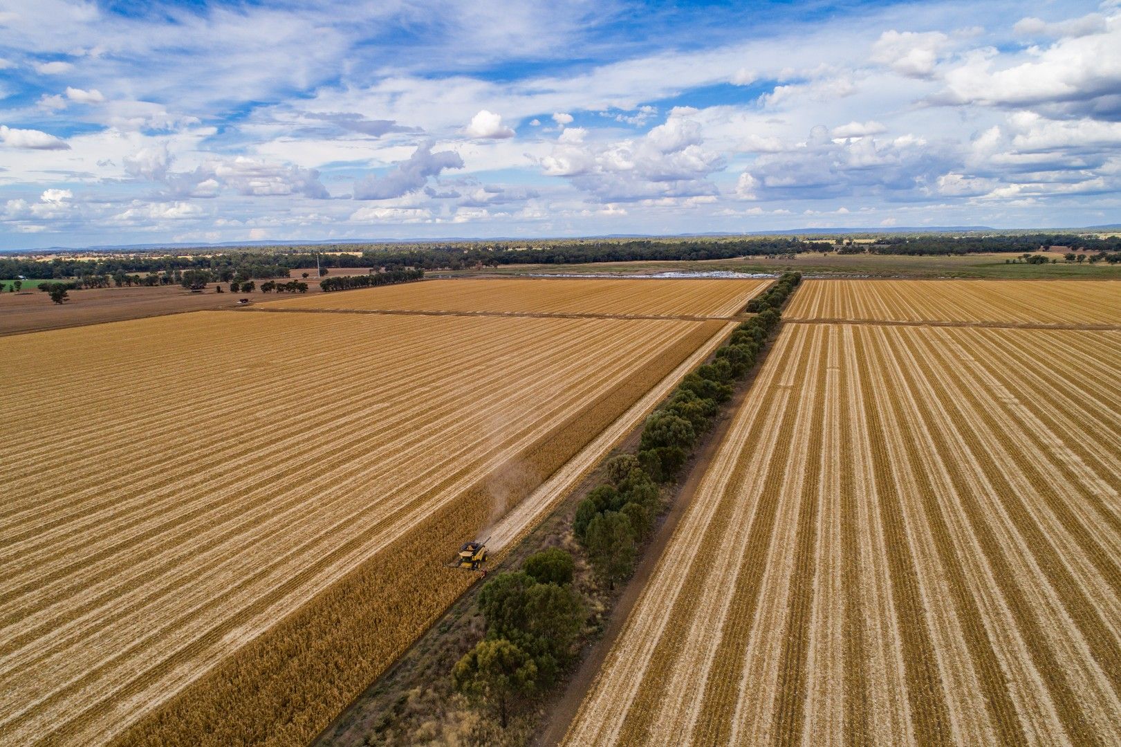 Lachlan Valley Way, Forbes NSW 2871, Image 1