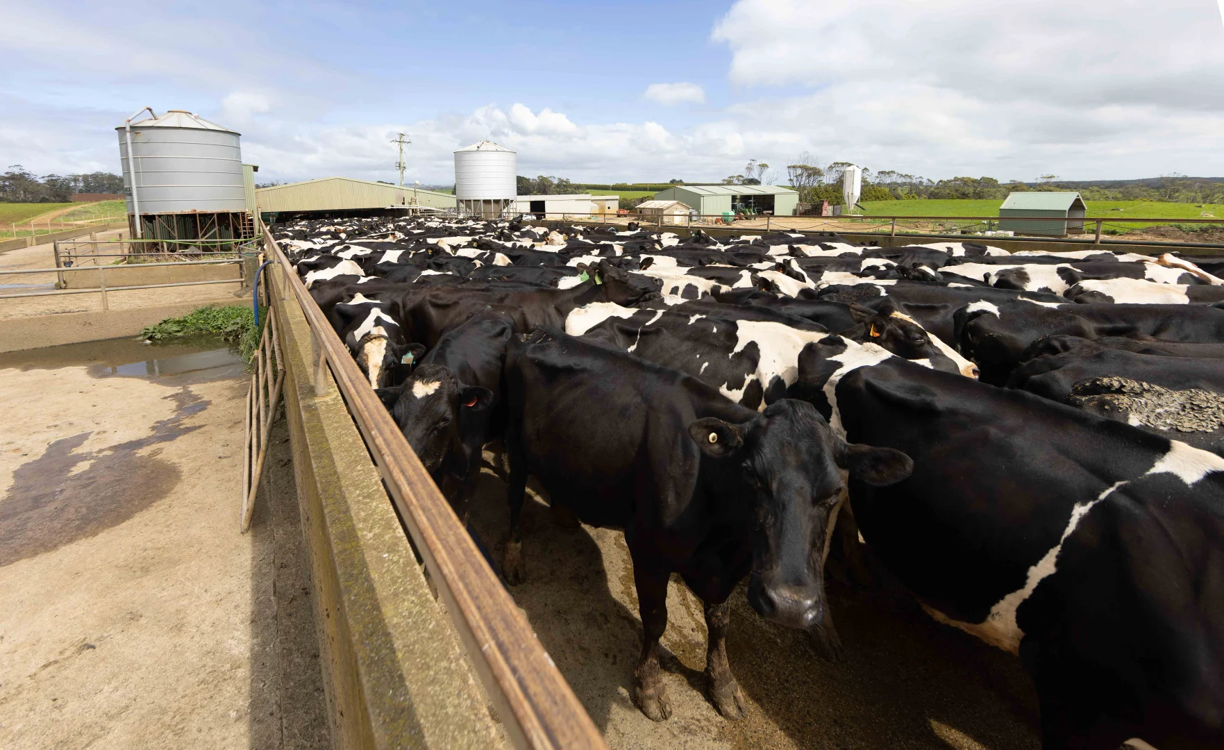 Image 9
