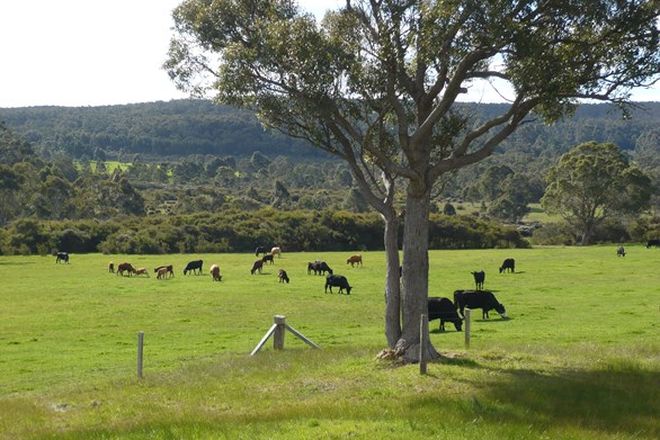 Picture of 171 Gardiner Road, NORTH WALPOLE WA 6398