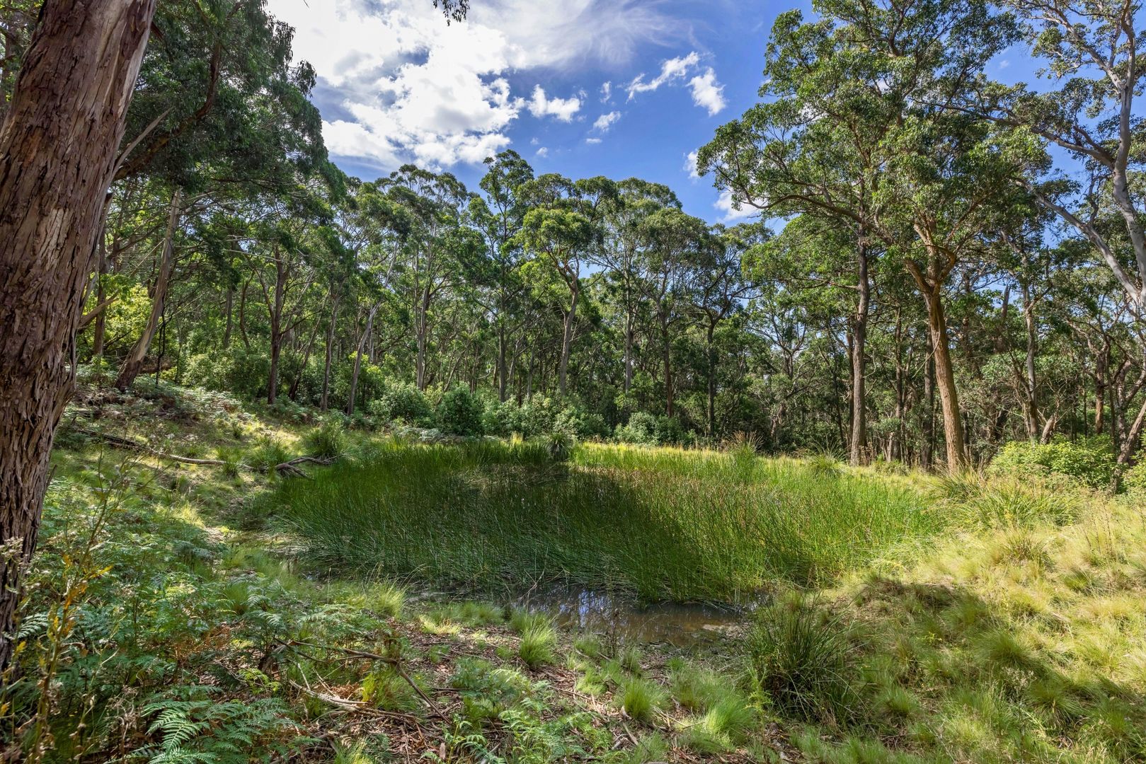 Lot 216A Hylands Road, Hesket VIC 3442, Image 2