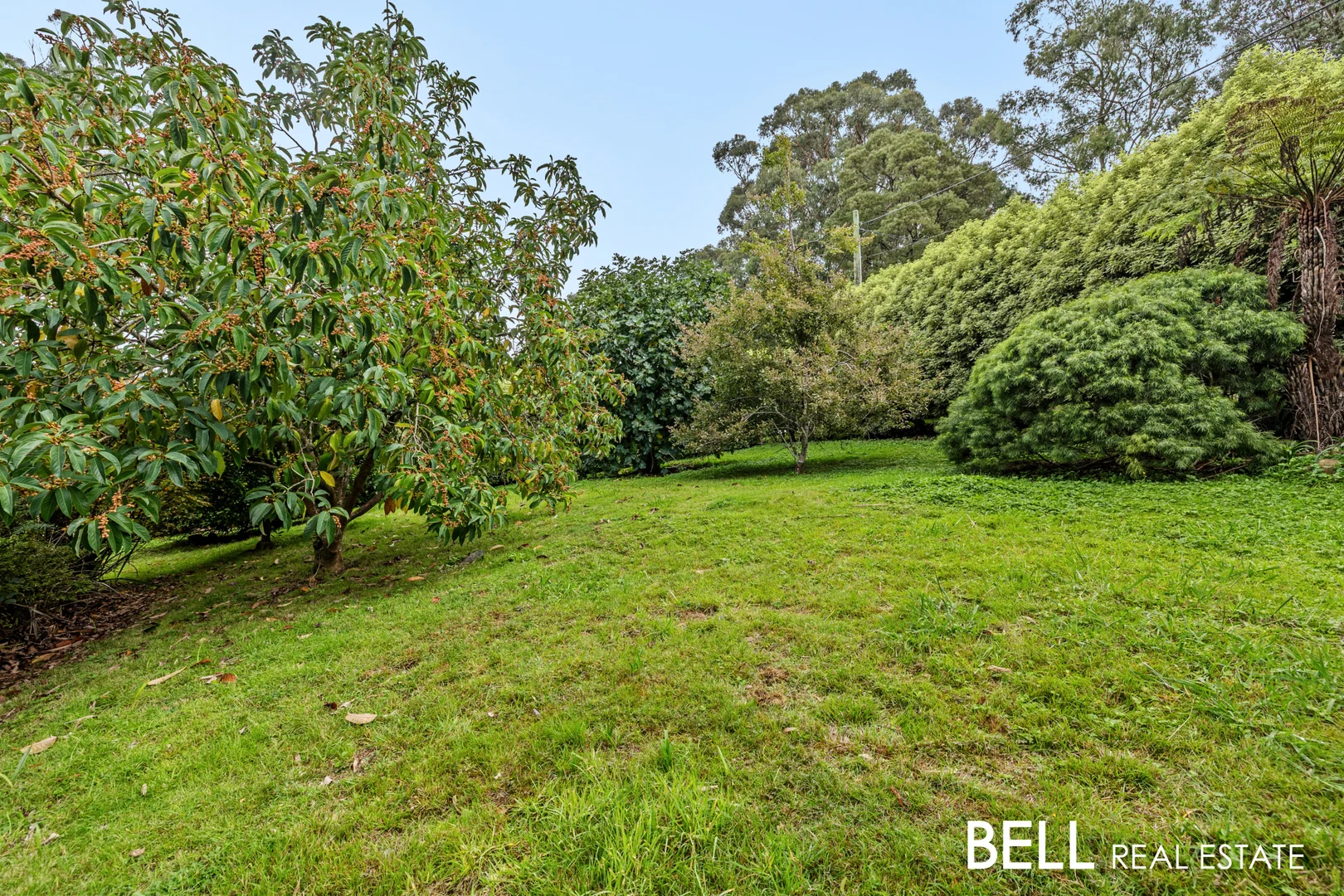 Additional image 15 of 1 Forest Road, Belgrave VIC 3160