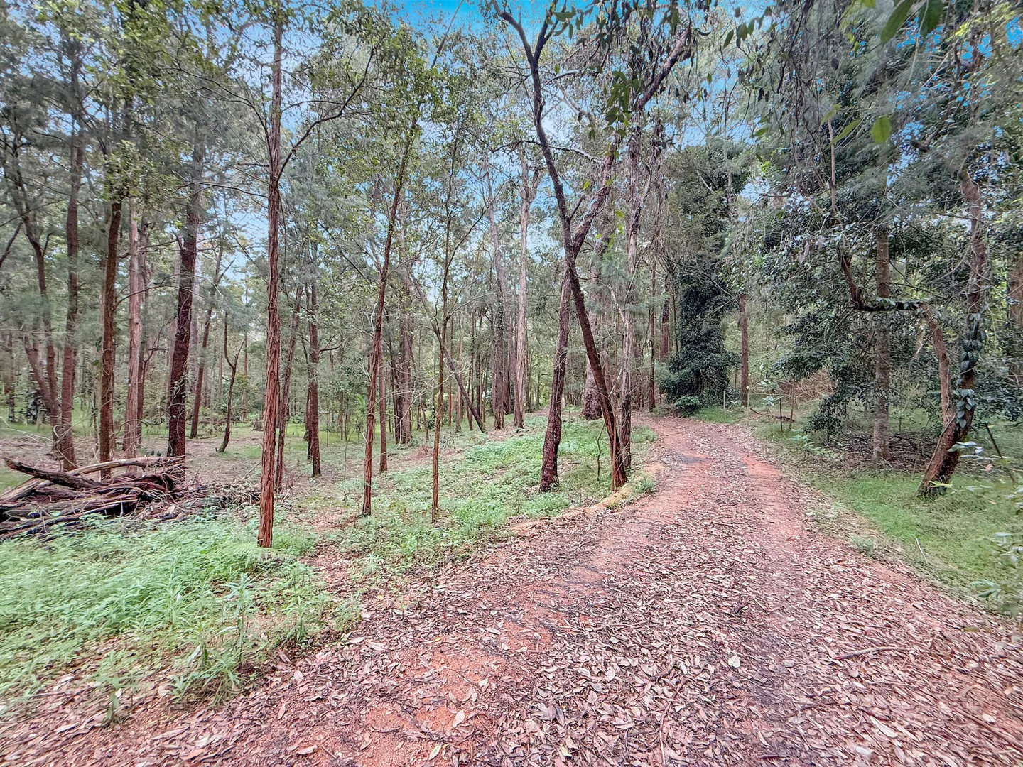 Image 15
