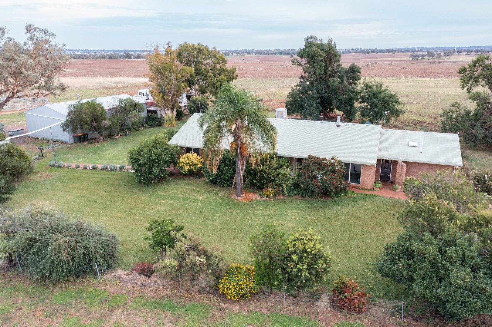 'Eagle Wings' 18L Angle Park Road, Dubbo NSW 2830, Image 1