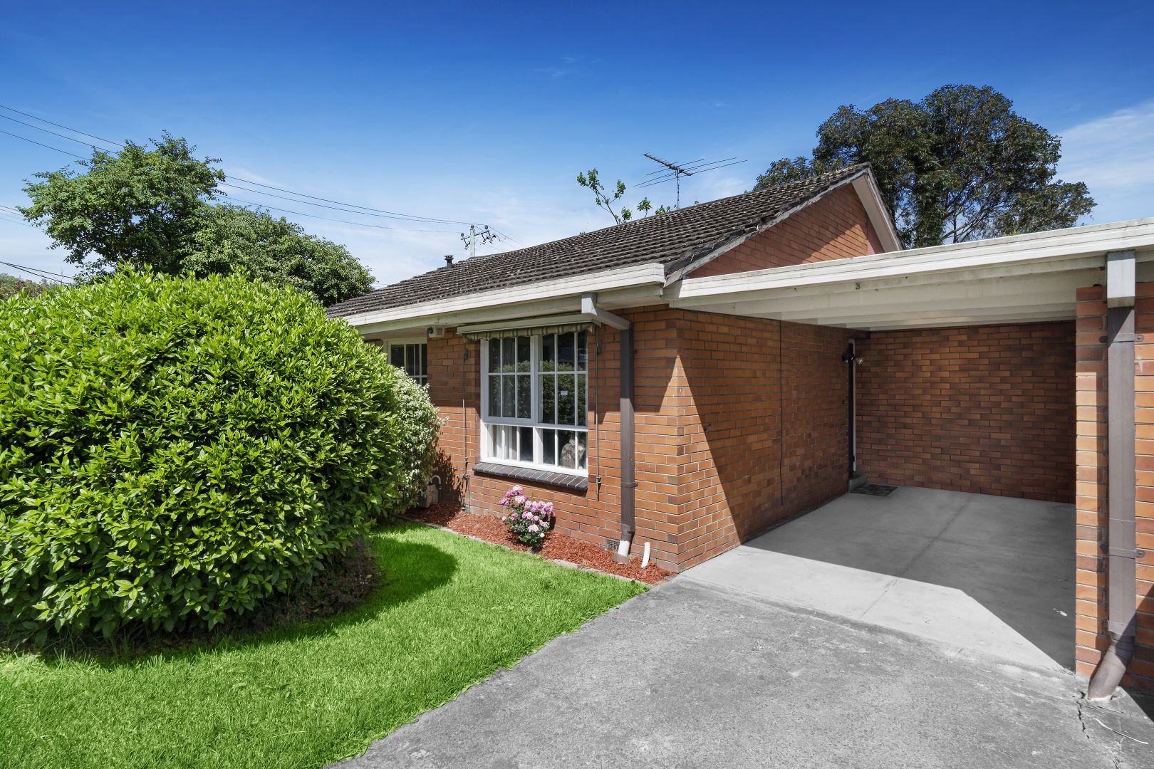 3/366 Springvale Road, Forest Hill VIC 3131, Image 1