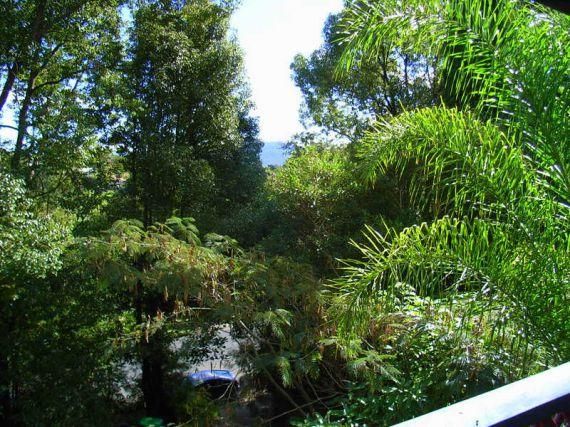 17 Lyon Street, Bellingen NSW 2454, Image 2