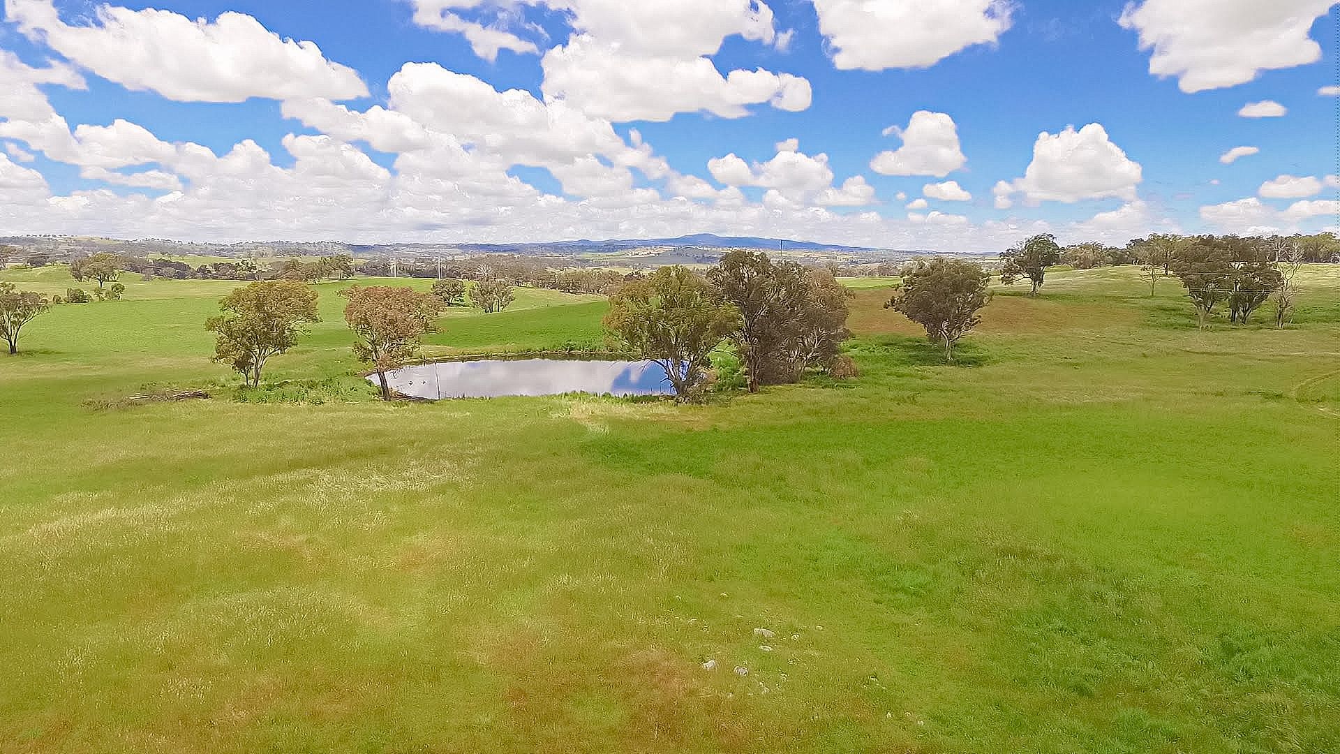 2818 Mitchell Highway, Molong NSW 2866, Image 0