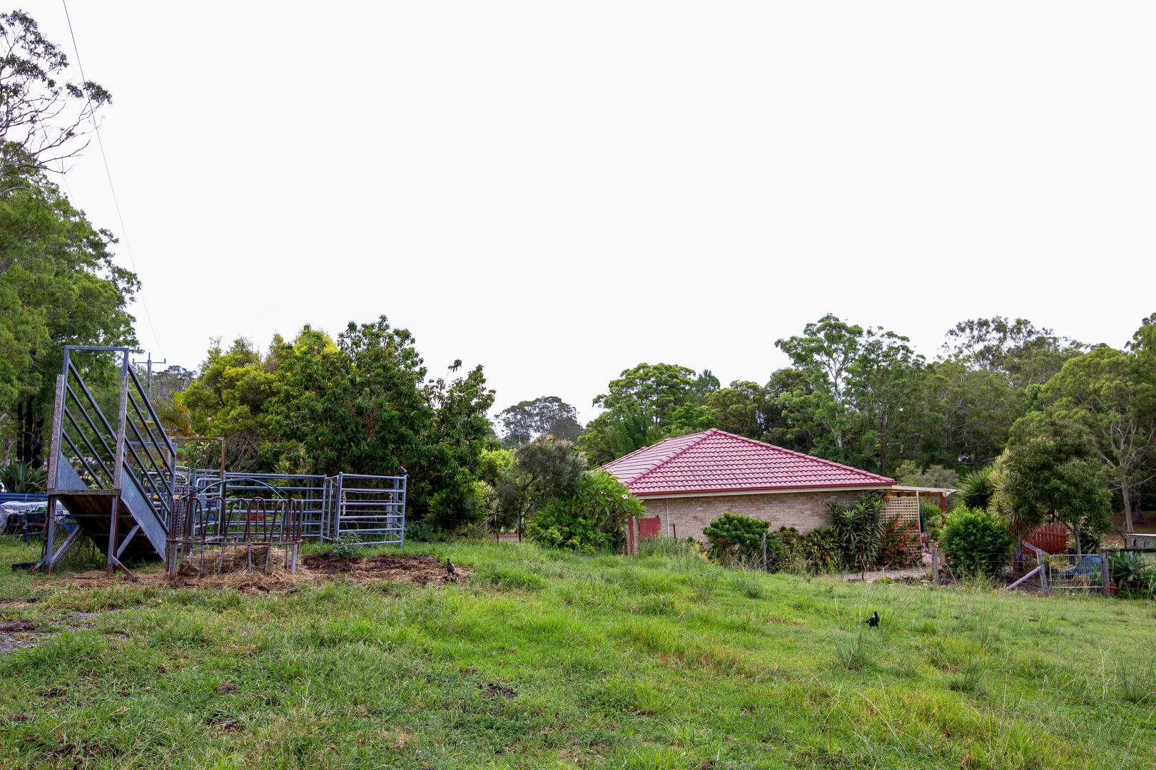 Additional image 31 of 178 Cedar Party Road, Taree NSW 2430