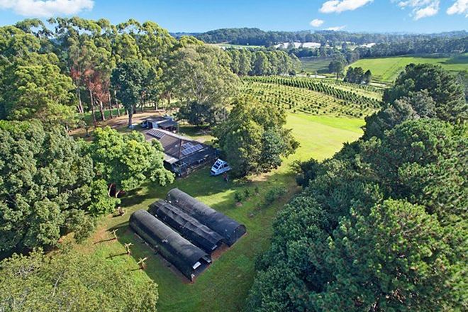 Picture of 53 McLeans Ridges Road, WOLLONGBAR NSW 2477