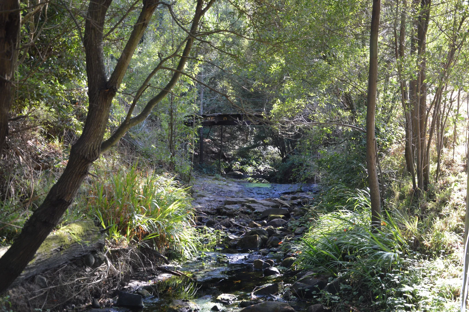 Image 10