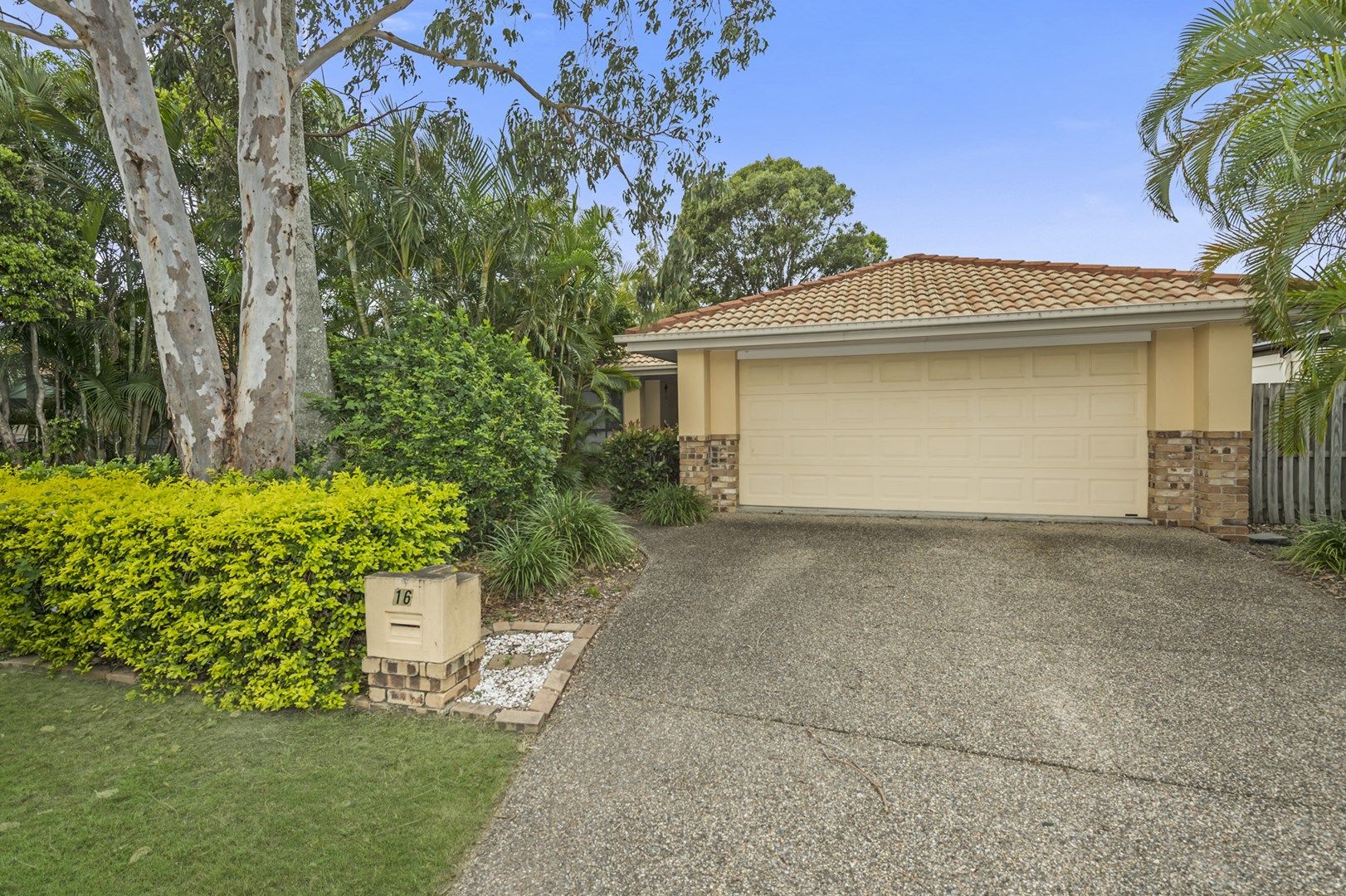 16 Stag Court, Upper Coomera QLD 4209, Image 1