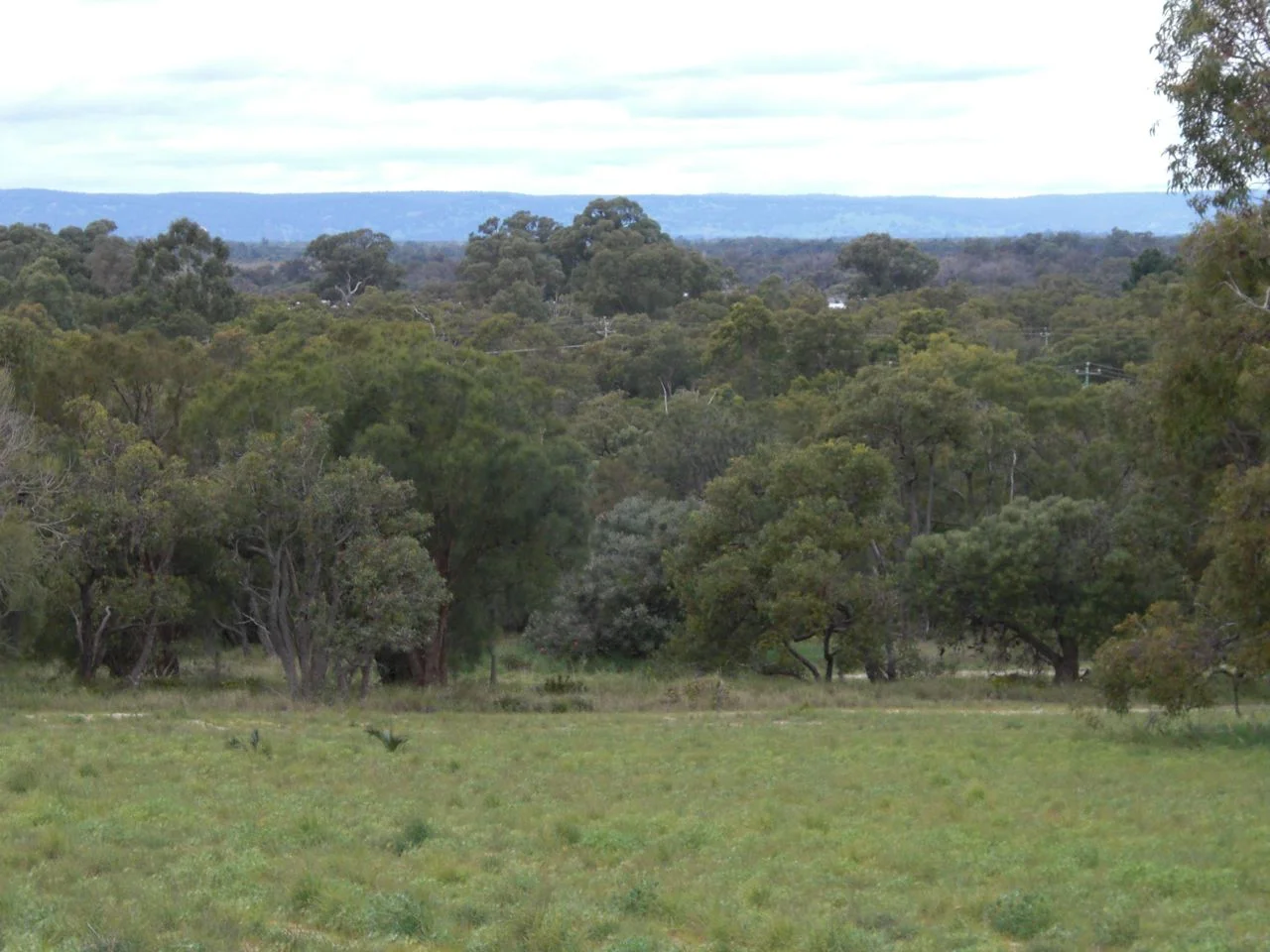 Image 14