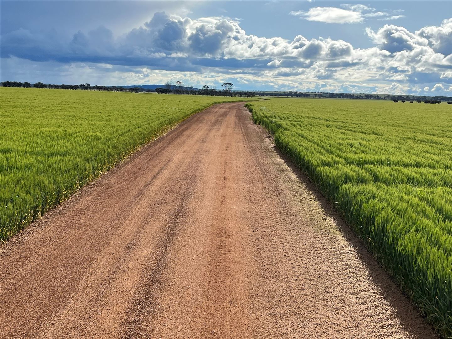 . 'Gardens', Shackleton WA 6386, Image 1