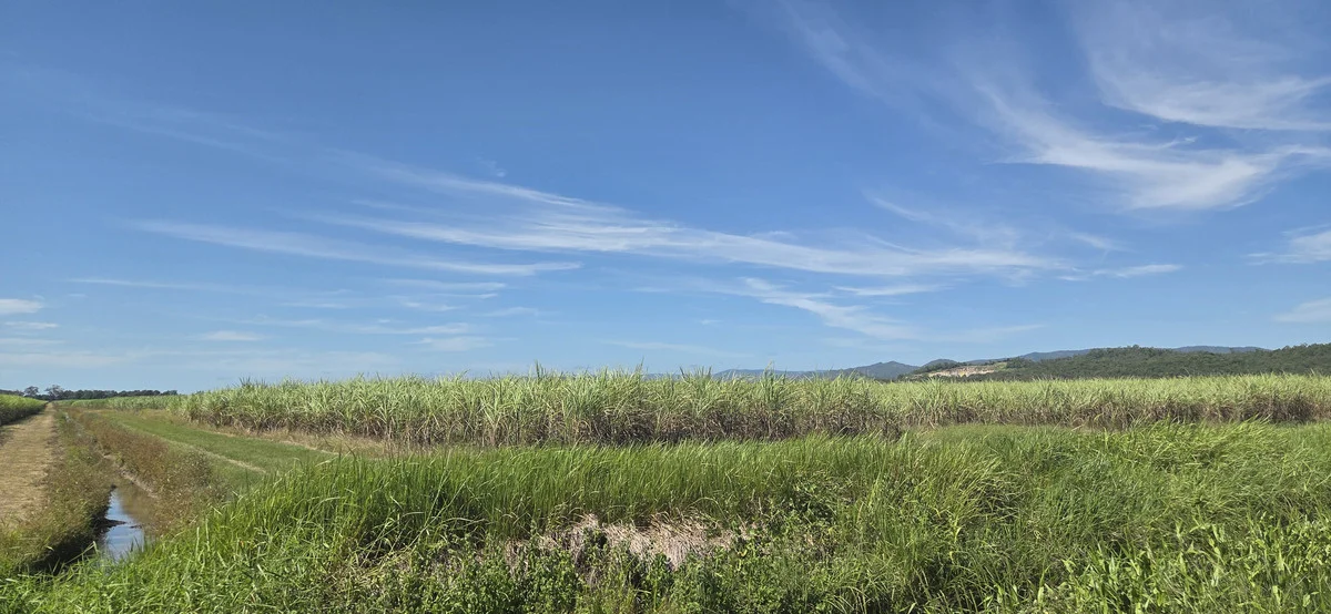 Additional image 12 of Lot 101 & 3 Lannercost Extension Road, Lannercost QLD 4850