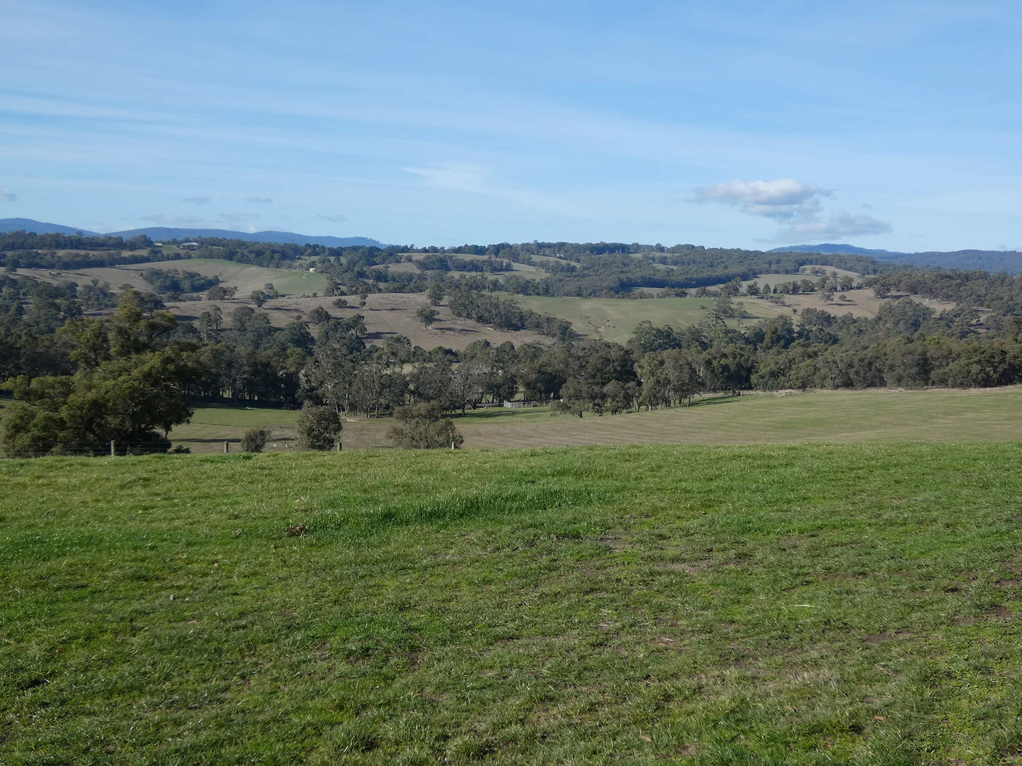 Image 13