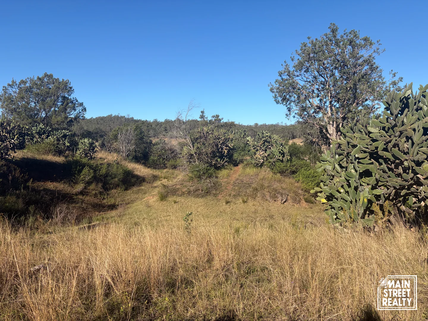 Image 45
