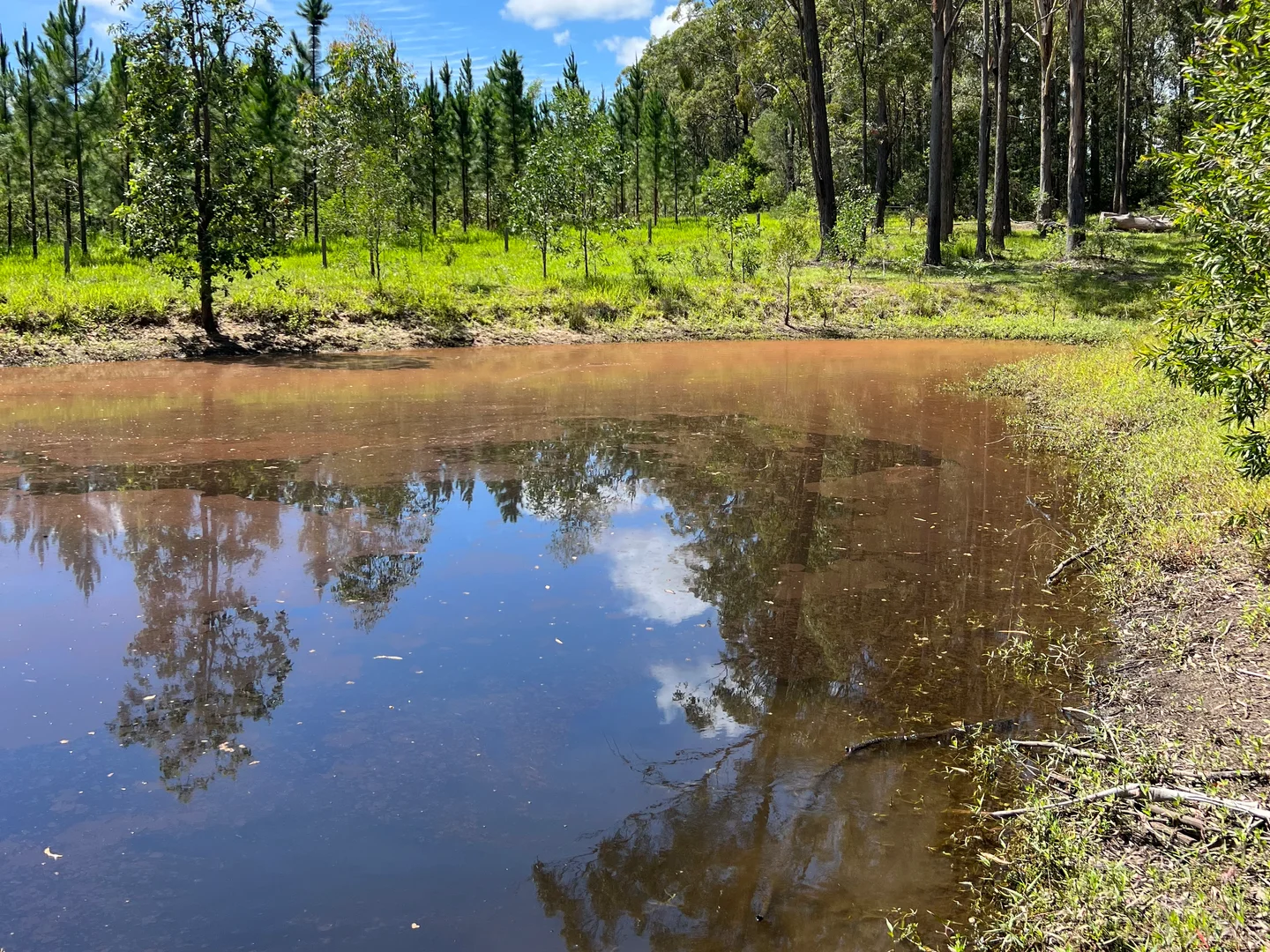 Additional image 2 of 72 Peterson Road, Woodford QLD 4514