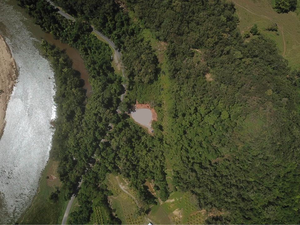 Lot 1 Stewart Creek Road, Daintree QLD 4873 Domain
