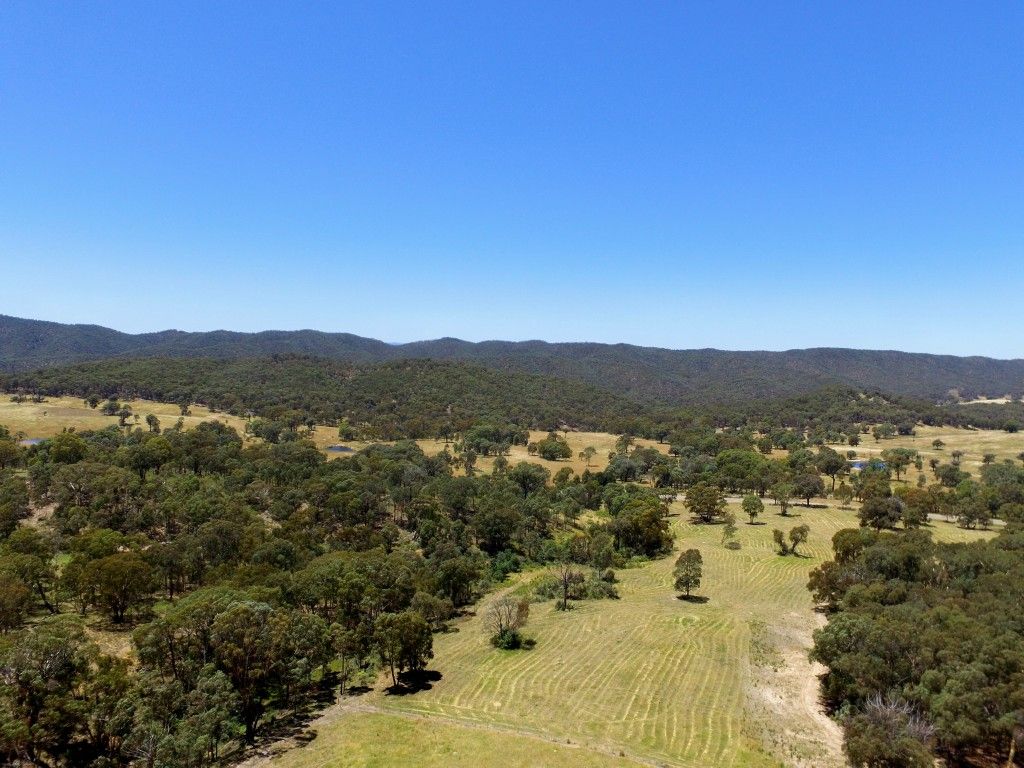 3583 junction Point Road, Binda NSW 2583, Image 2