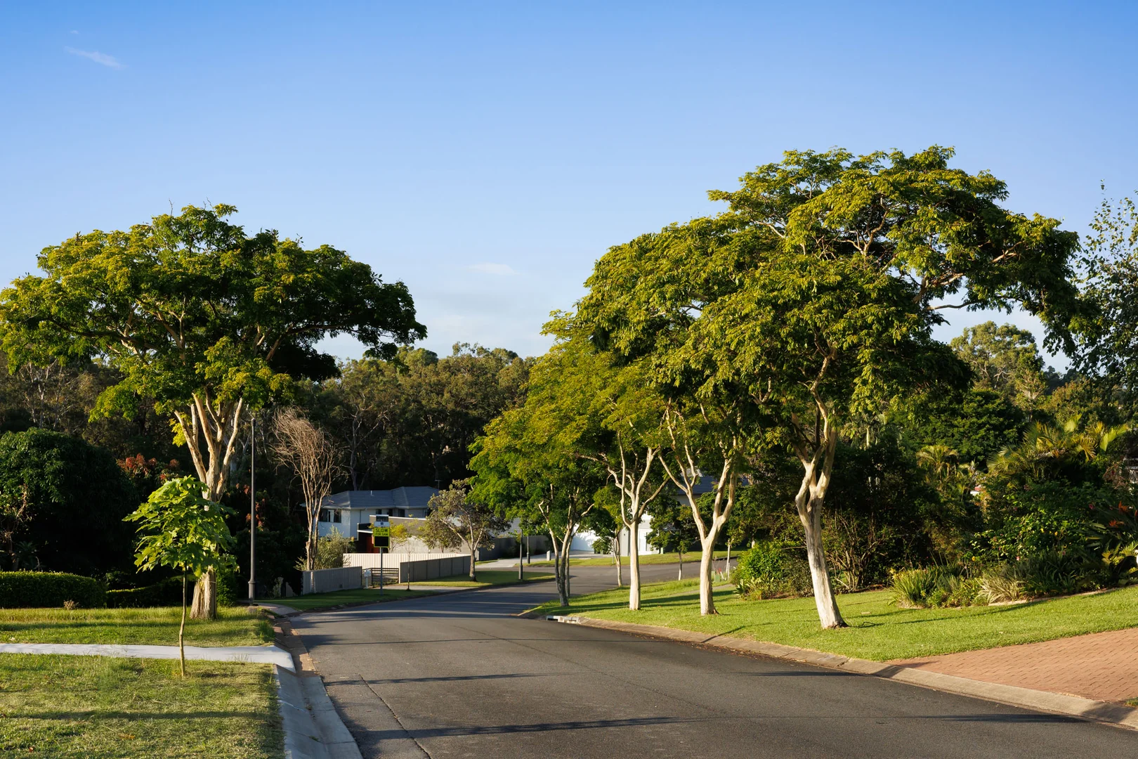 Additional image 2 of 40 Renoir Crescent, Forest Lake QLD 4078
