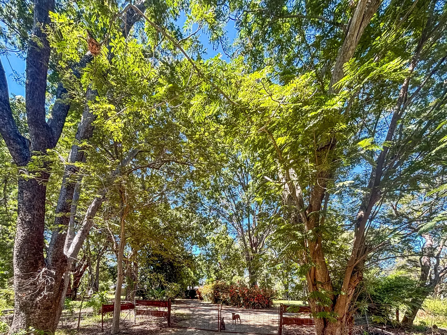 Additional image 19 of 70 Hendry Road, Katherine NT 0850