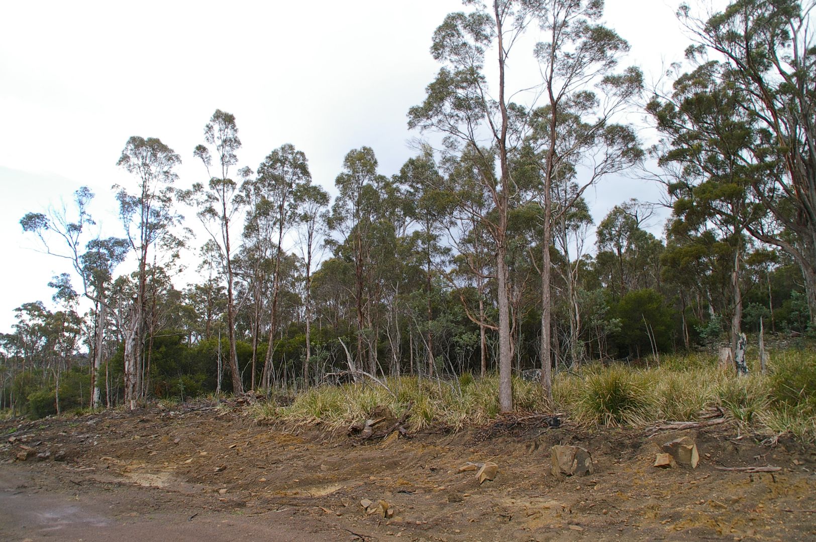 Lot 3 Distillery Track, Nunamara TAS 7259, Image 1