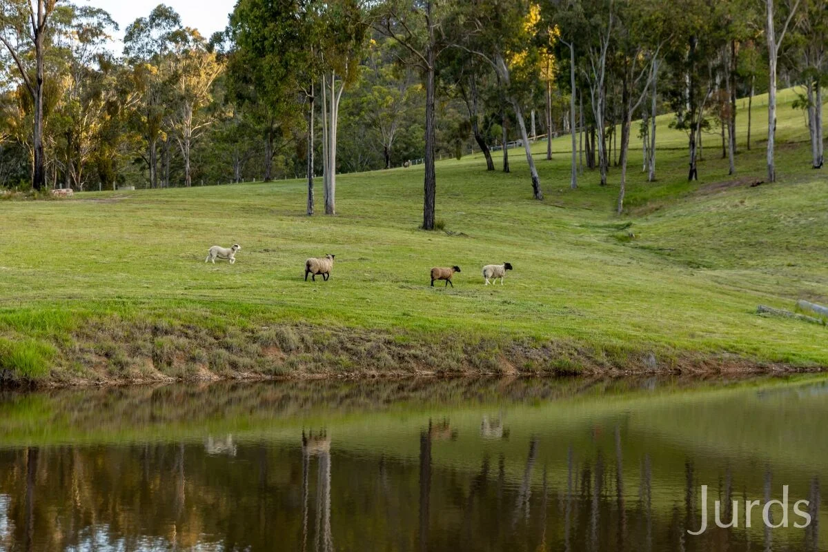 Additional image 13 of 155 Q9 Lane, Ellalong NSW 2325