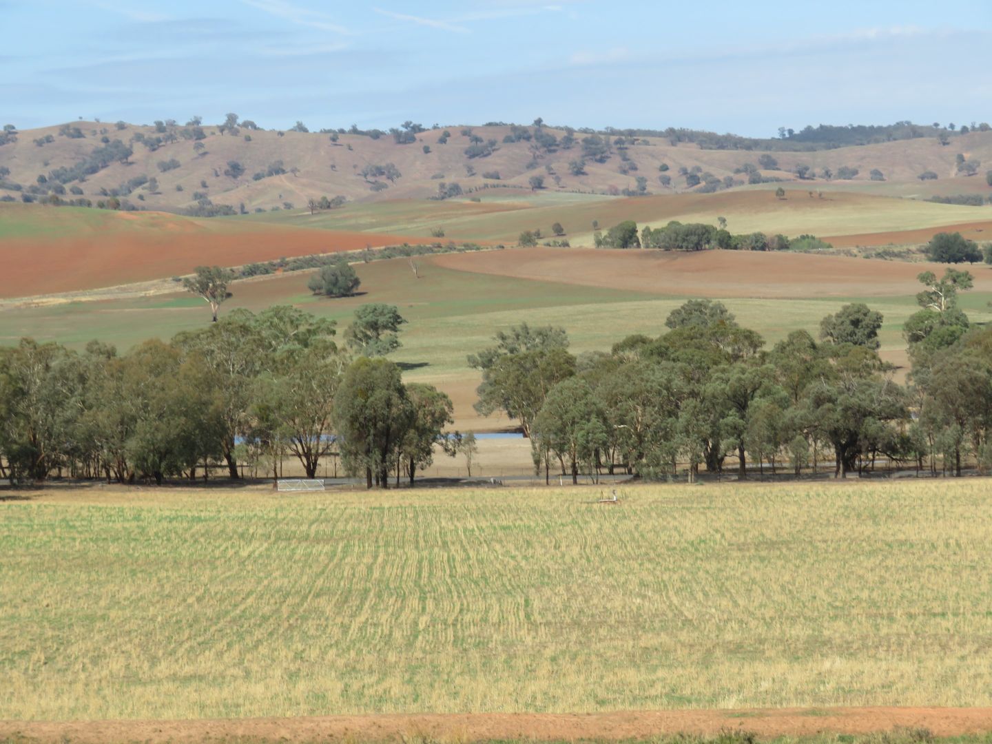 Lot 4 Old Hume Highway (Mundarlo Rd), Tumblong NSW 2729, Image 2