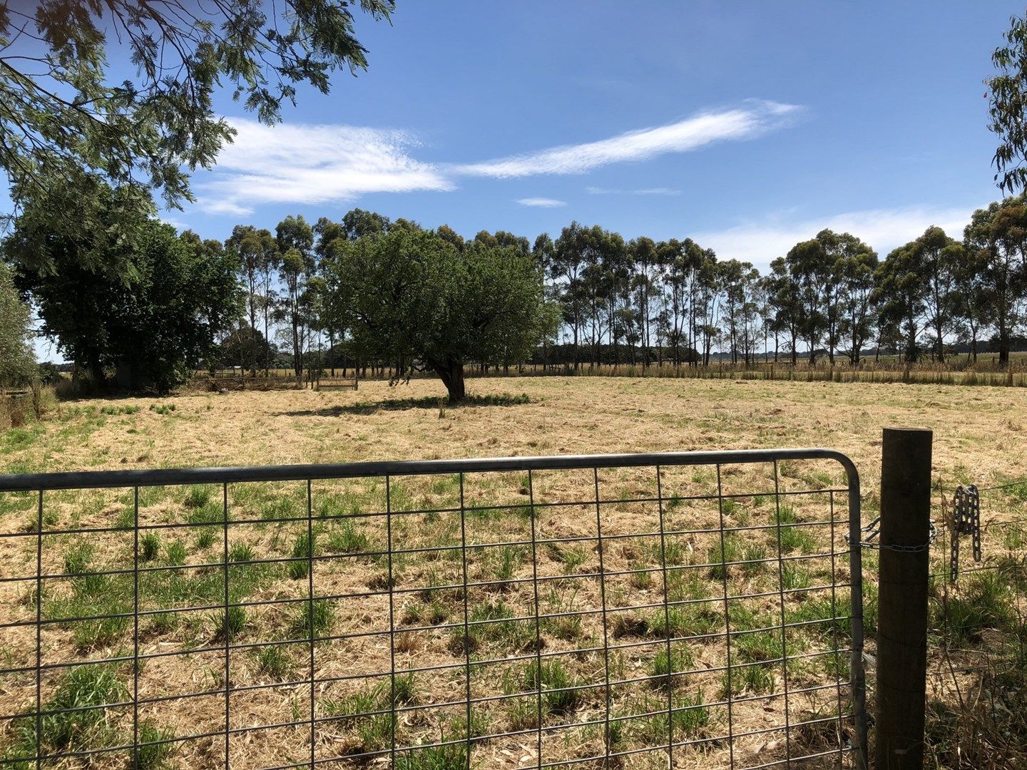 LOT 7, 1450 Princes Highway, Pirron Yallock VIC 3249, Image 0