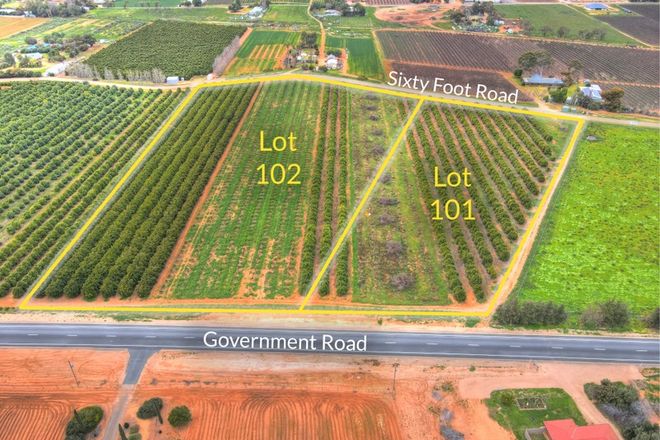 Picture of Lot 101 & 102 Sixty Foot Road, RENMARK SA 5341