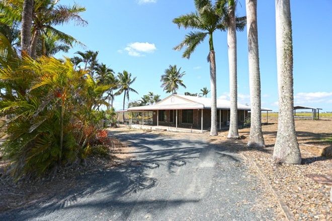 Picture of 71 Ritchies Road, PLEYSTOWE QLD 4741