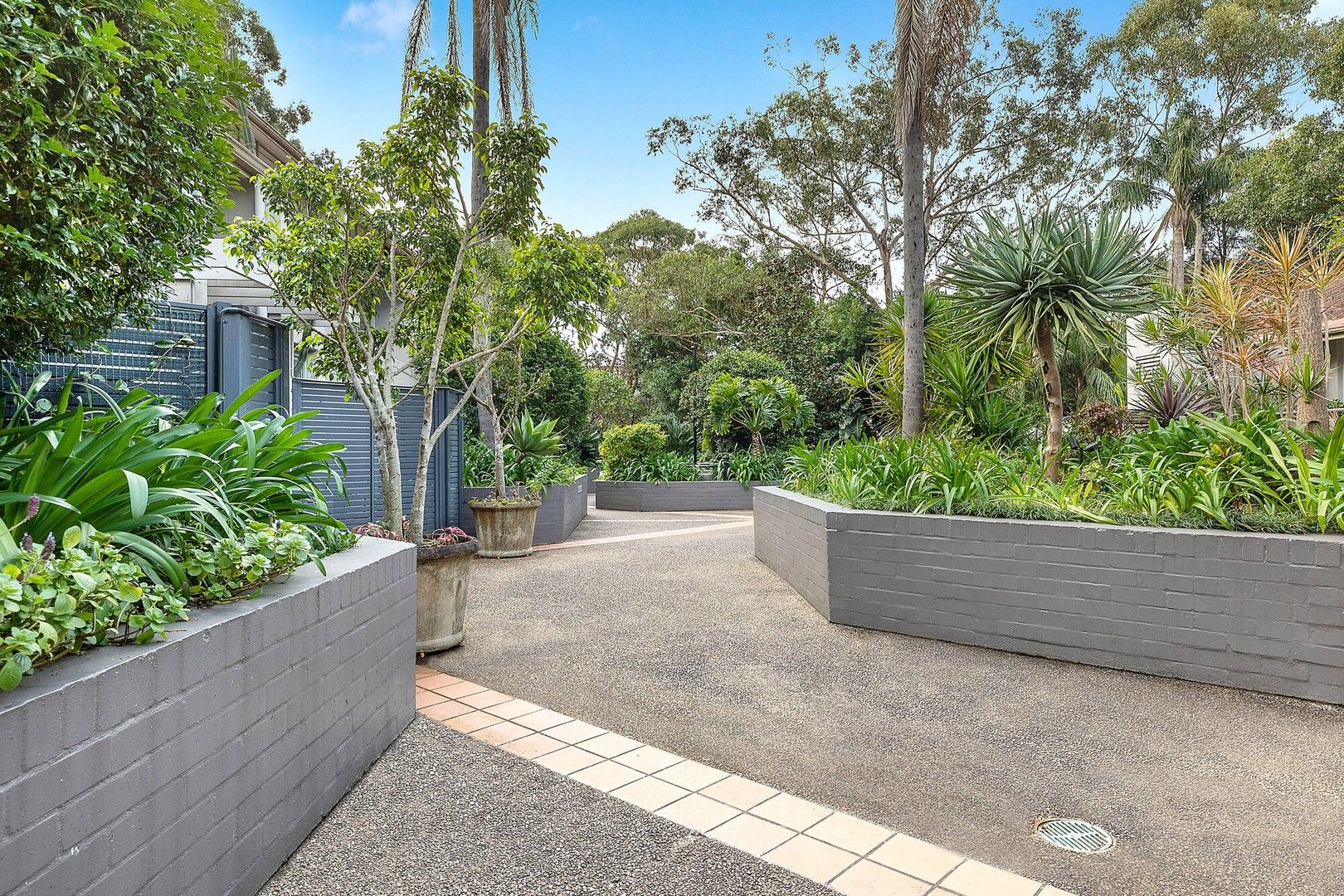 33/400 Glenmore Road, Paddington NSW 2021, Image 0