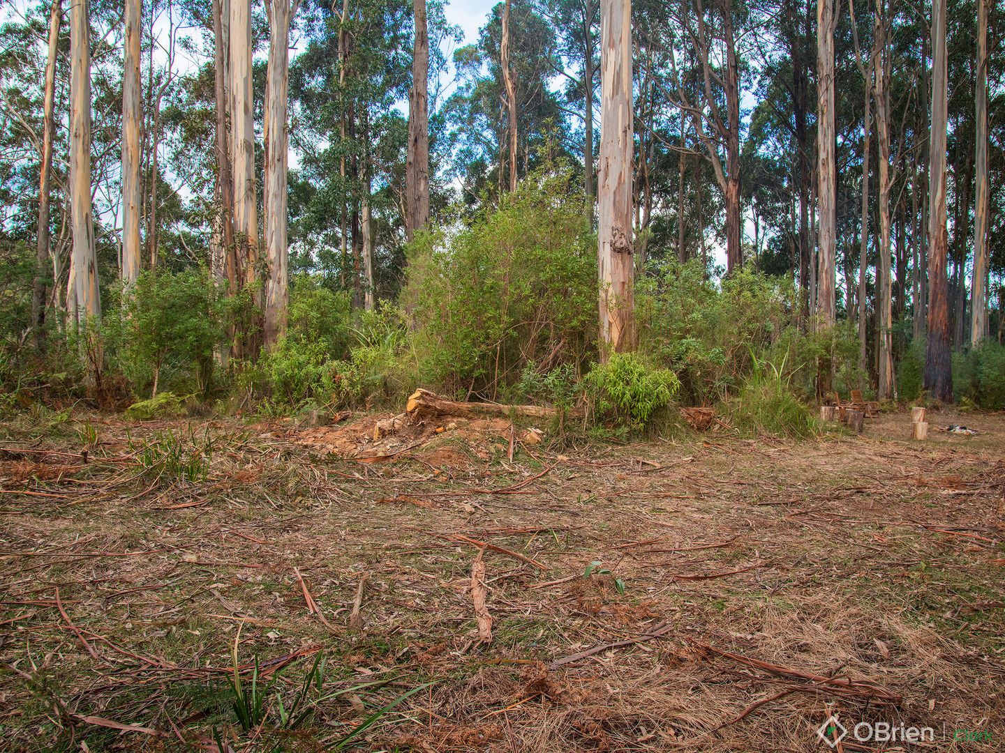 1 Mount Baw Baw Tourist Road, Icy Creek VIC 3833 House for Sale