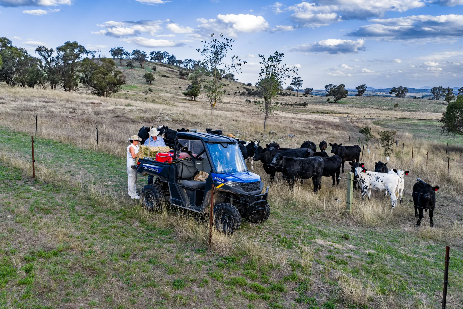 Additional image 4 of "Savannah Springs" 294 Rolfe Road, Wallaroo NSW 2618