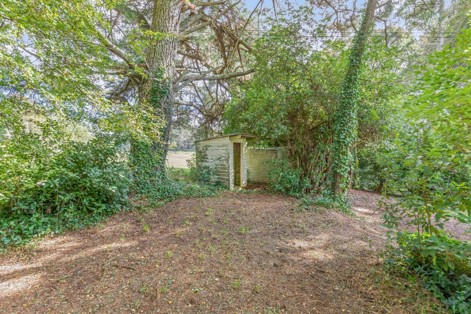 Image 20