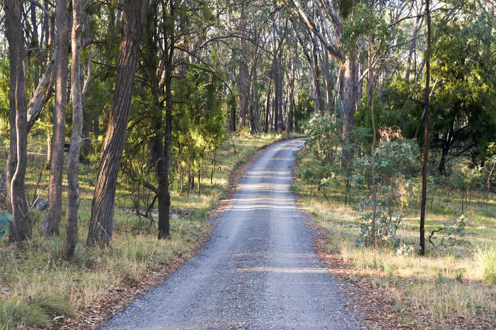 Additional image 18 of 172 Johnstons Road, Barjarg VIC 3723