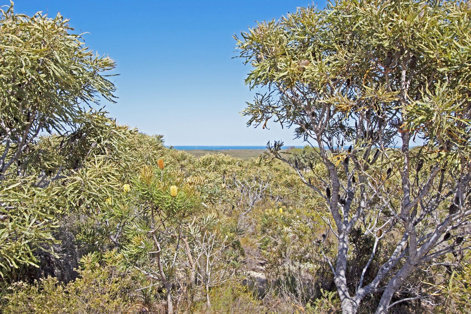 Lot 75/71 Flying Foam Way, Jurien Bay WA 6516, Image 2