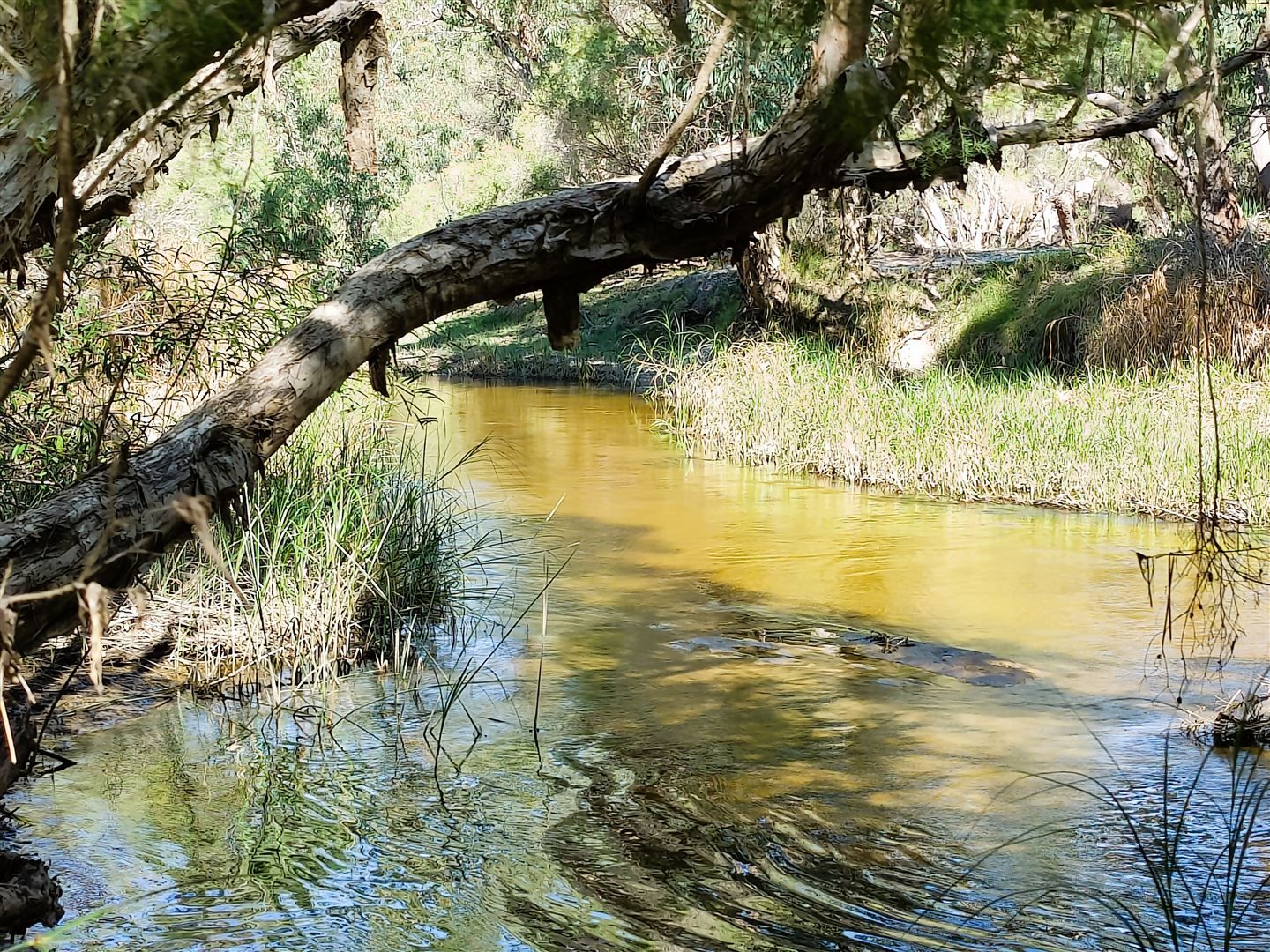 Lot 6 Telephone Road, Neergabby WA 6503