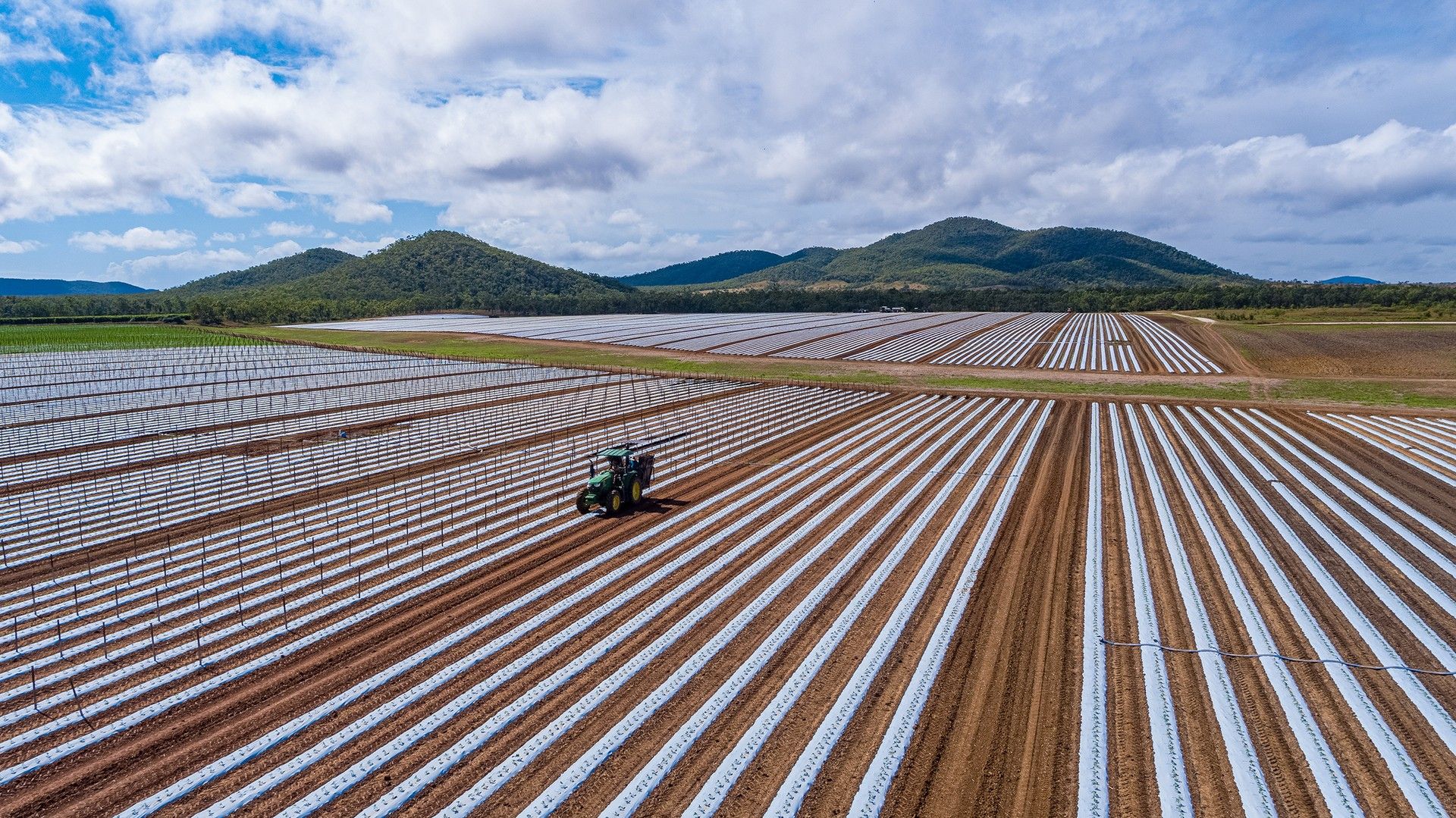 Bowen QLD 4805, Image 0