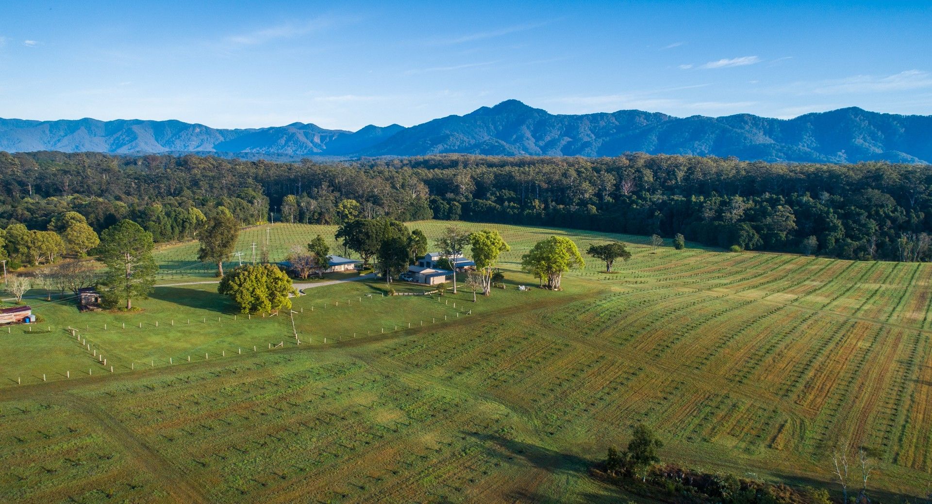 Rural in 606 Valery Road, VALERY NSW, 2454