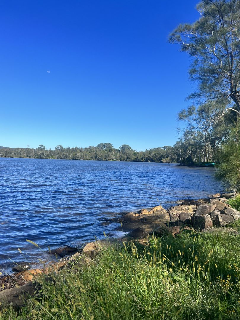 29 Wallaroo Street, Coomba Park NSW 2428 Domain