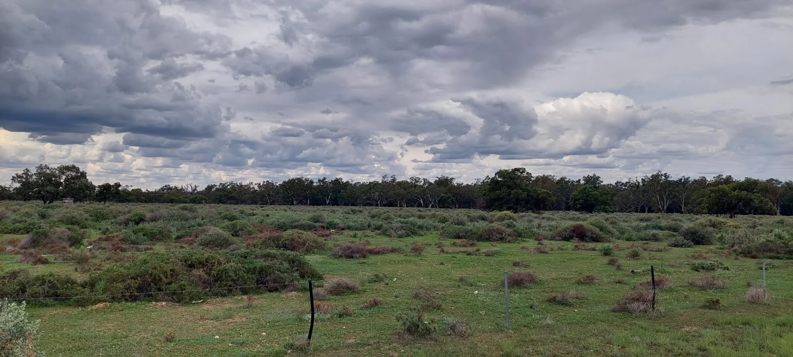 Additional image 3 of Lots 1,2,3,4 Blue Gum, Oxley NSW 2711