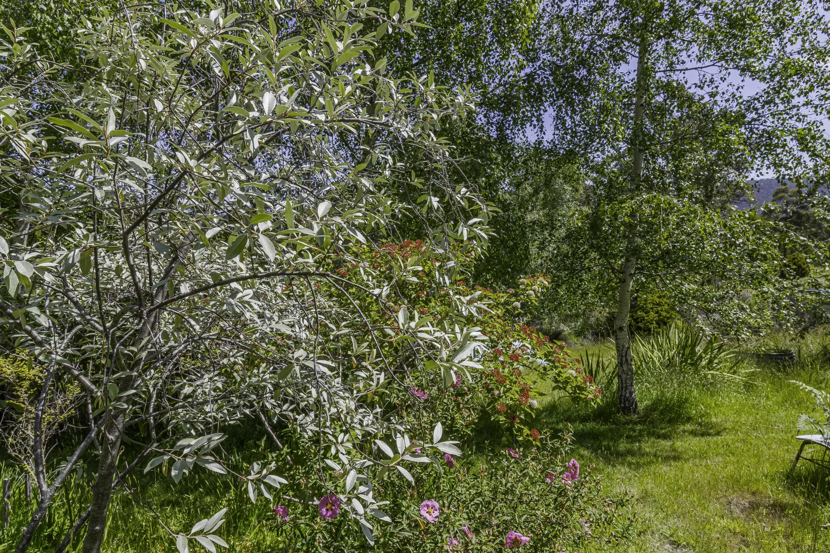 Image 45