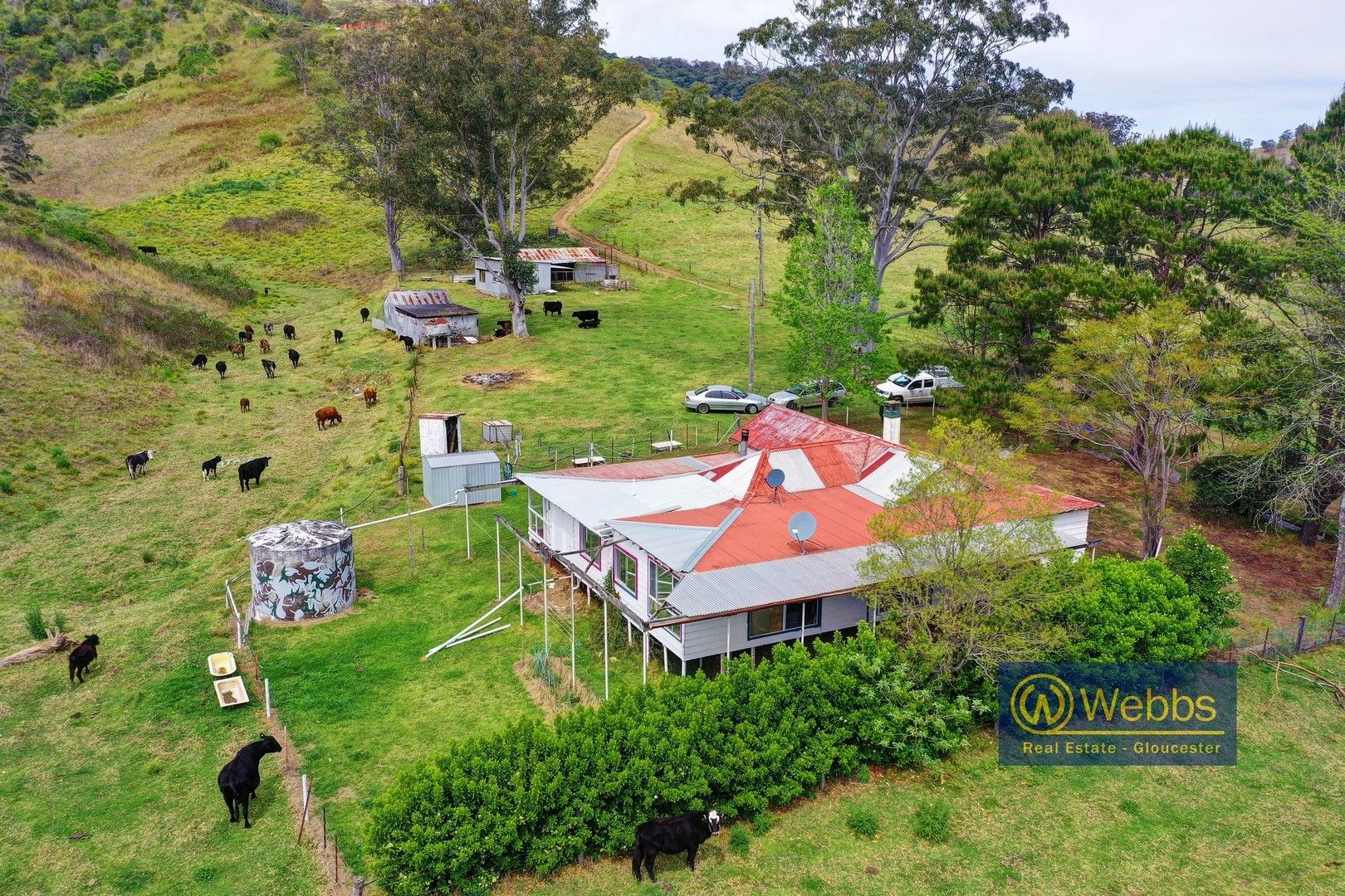 359 Titaatee Creek Road, Gloucester NSW 2422, Image 0