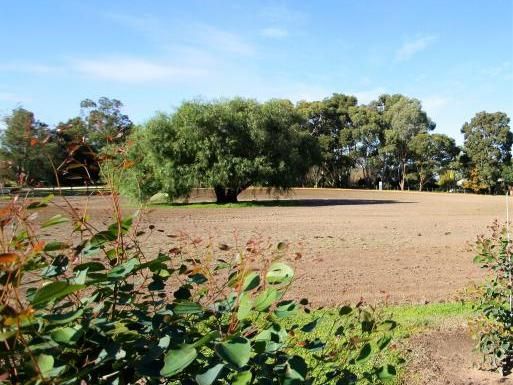 Allotment 2 Wilkins Road, Naracoorte SA 5271, Image 1