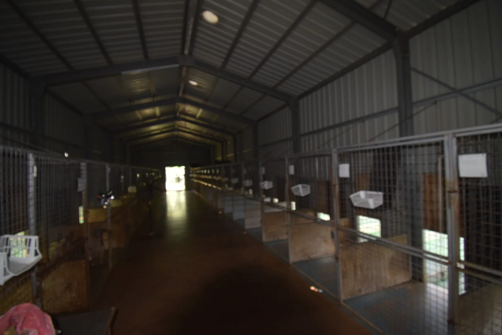 Additional image 26 of 227 Olletts Road, Habana QLD 4740