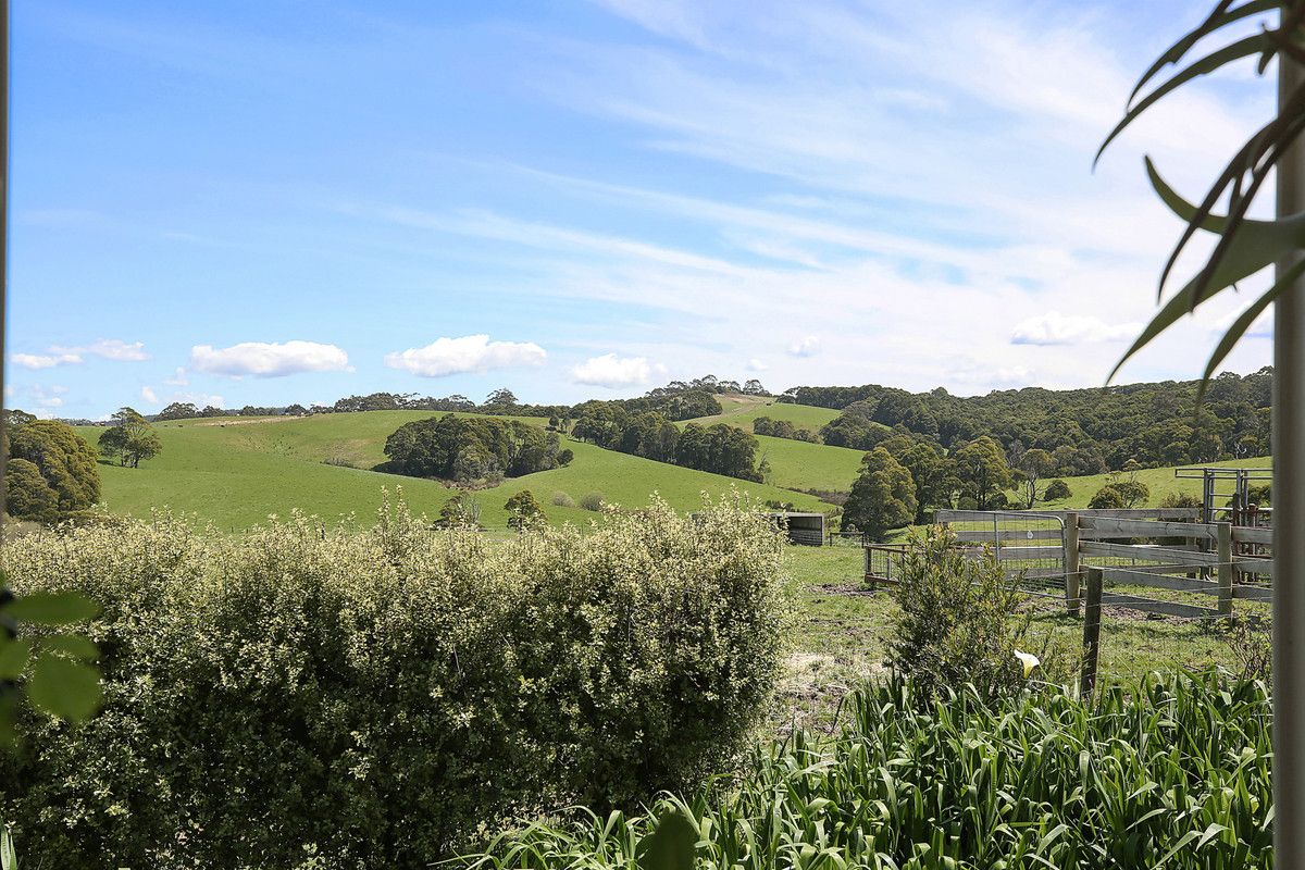 80 Dehnerts Track, Beech Forest VIC 3237, Image 2