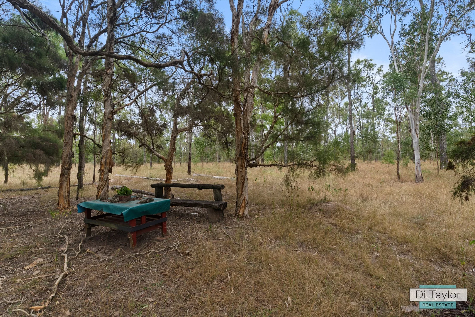 Additional image 18 of 64-92 Tea Tree Ave, Mount Forbes QLD 4340