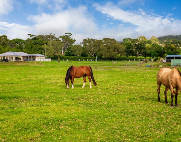 1376 Bolong Road, Coolangatta NSW 2535