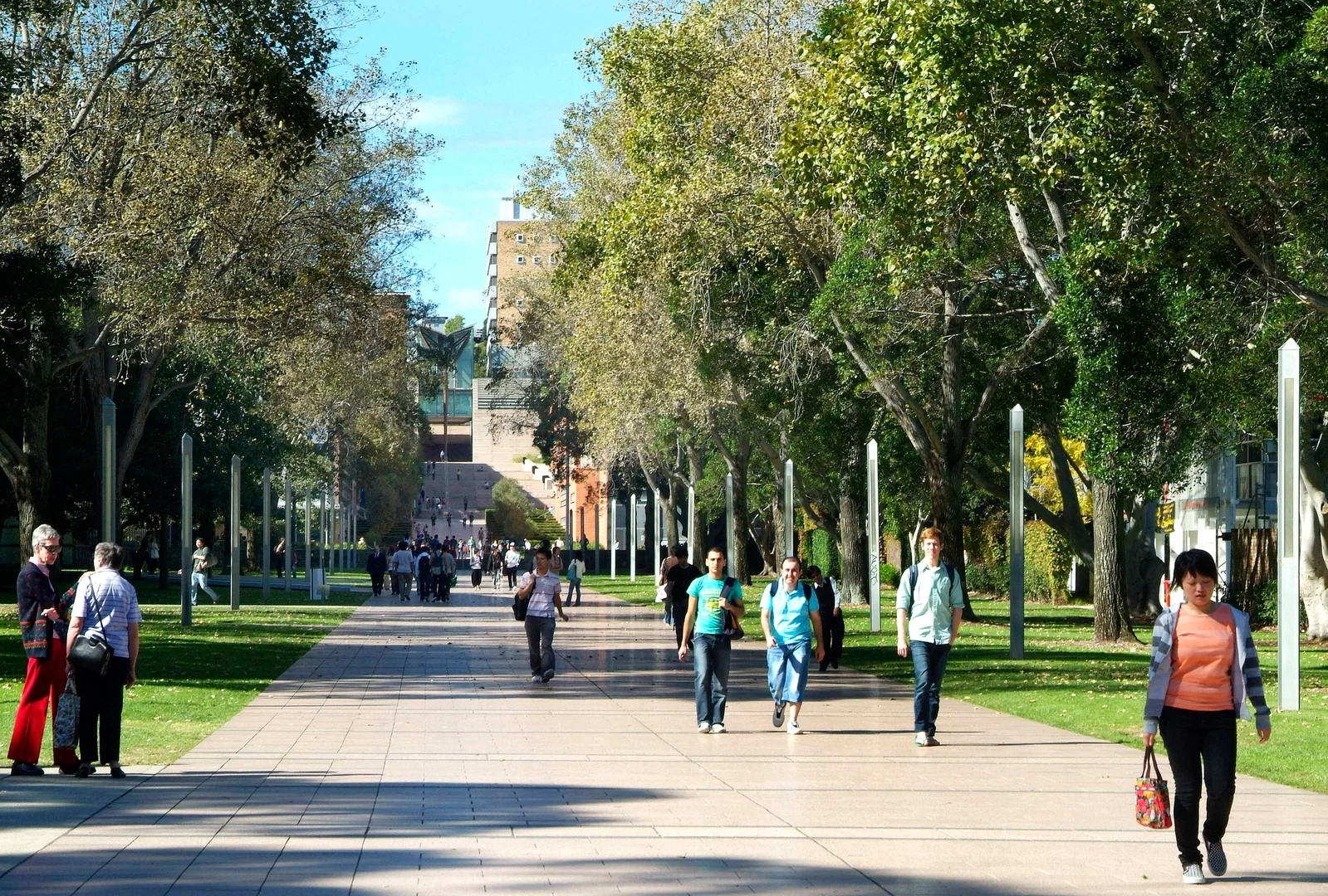 Additional image 7 of 10/36 Willis Street, Kingsford NSW 2032