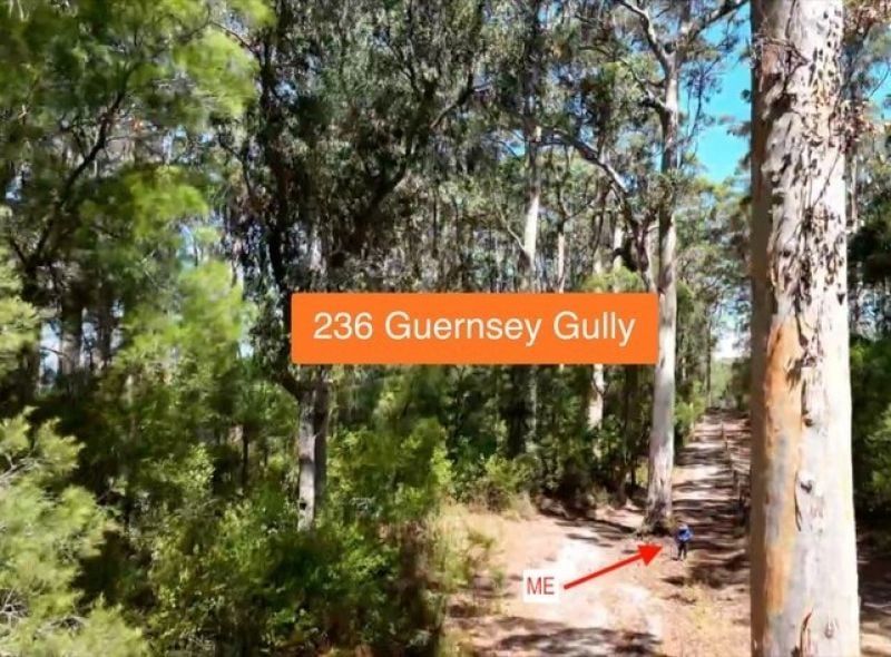 236 Guernsey Gully, Northcliffe WA 6262, Image 0